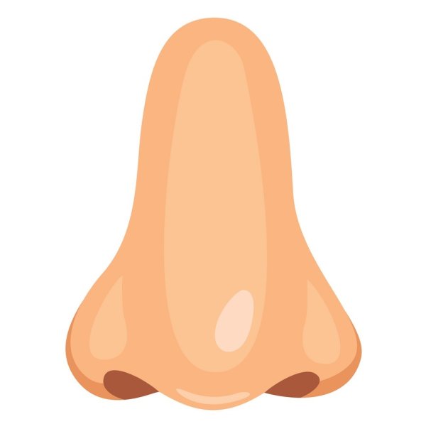 Нос для дошкольников