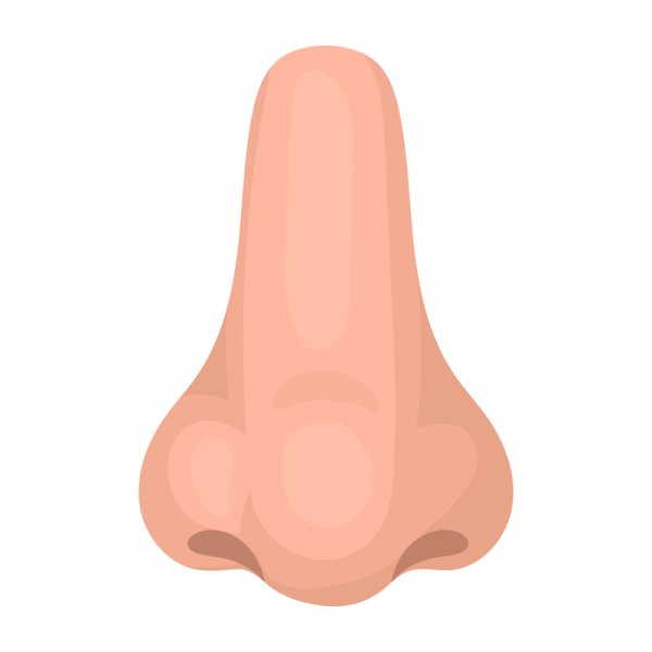 Нос без фона