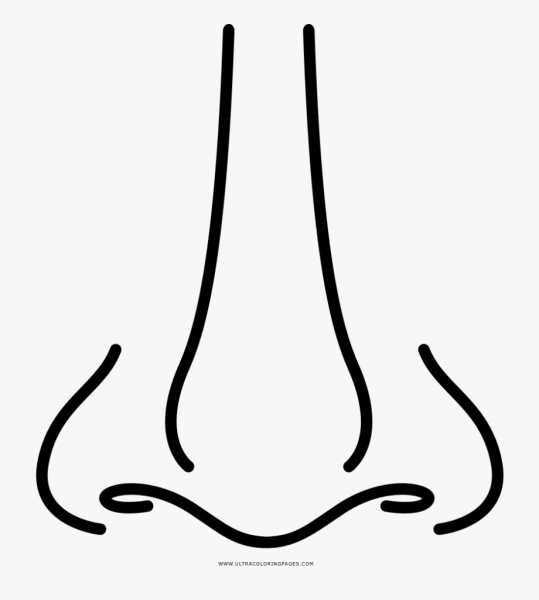 Нос для раскрашивания