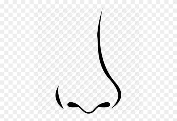 Очертания носа