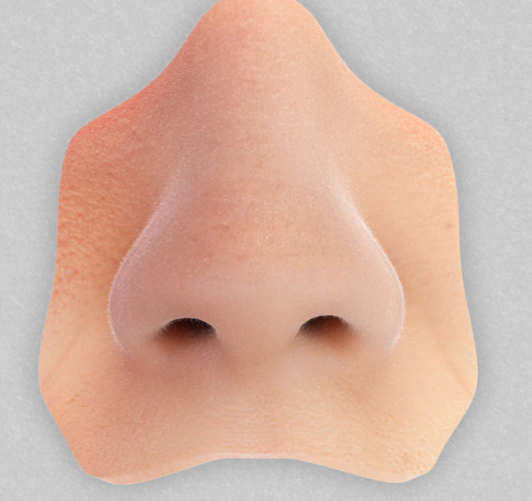 Человеческий нос