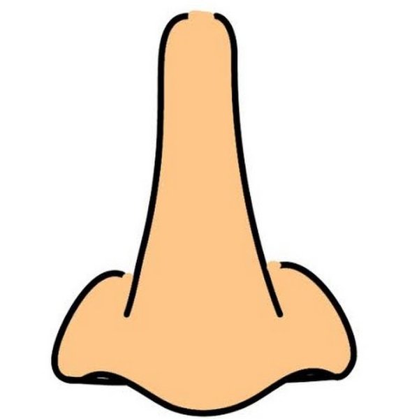 Нос раскраска