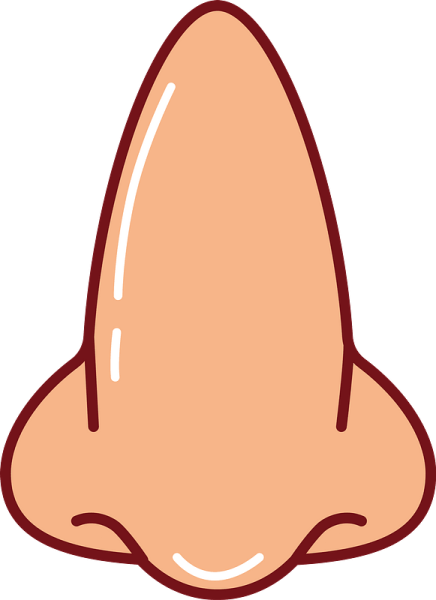 Нос клипарт