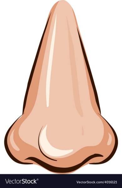 Мультяшное нос для детей