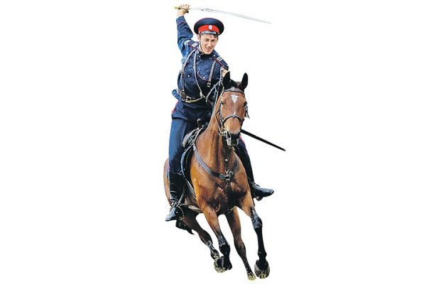 Донские казаки белом фоне