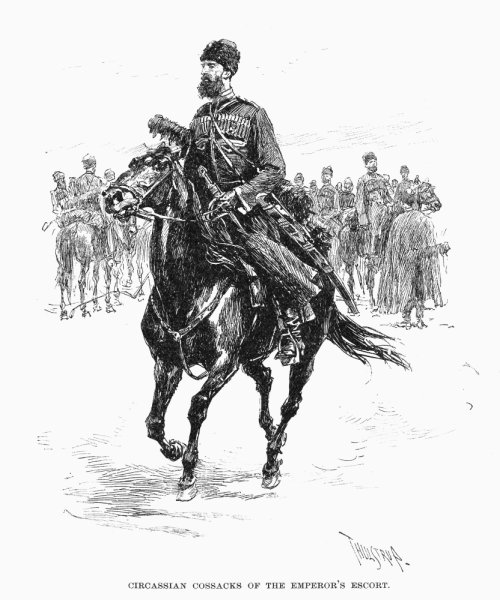 Графика казачество