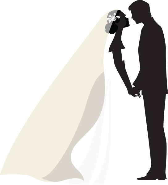 Силуэт молодоженов