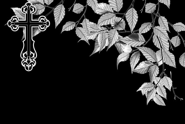 Ветка березы на памятник