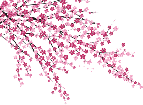 Цветущие деревья на прозрачном фоне