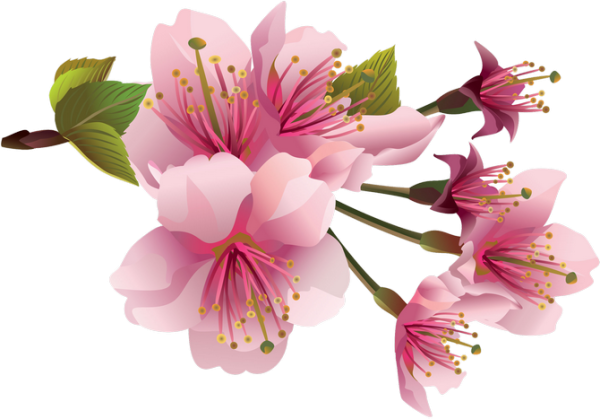 Ветка цветов