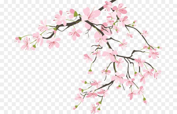 Ветка цветов для ФШ