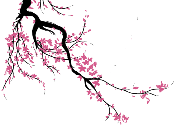 Сакура силуэт