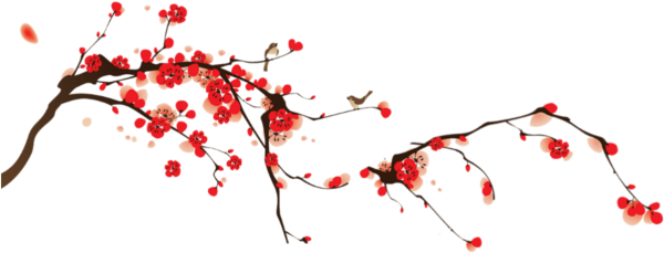 Красная Сакура на прозрачном фоне