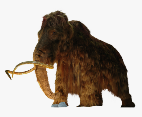 Шерстистый мамонт (Woolly Mammoth)