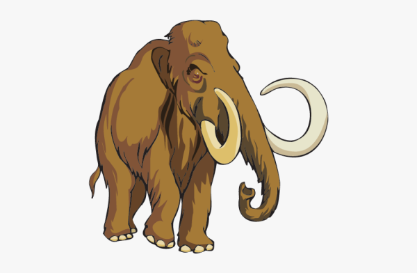 Мамонт на белом фоне