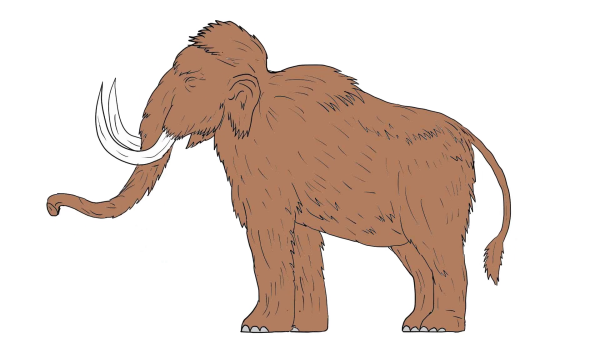 Мамонт на белом фоне