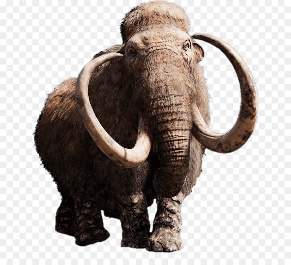 Векторное изображение мамонта