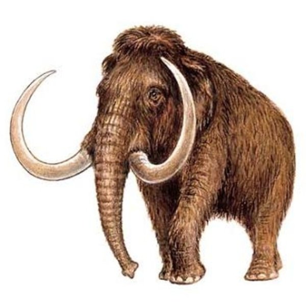 Мамонт мультяшный