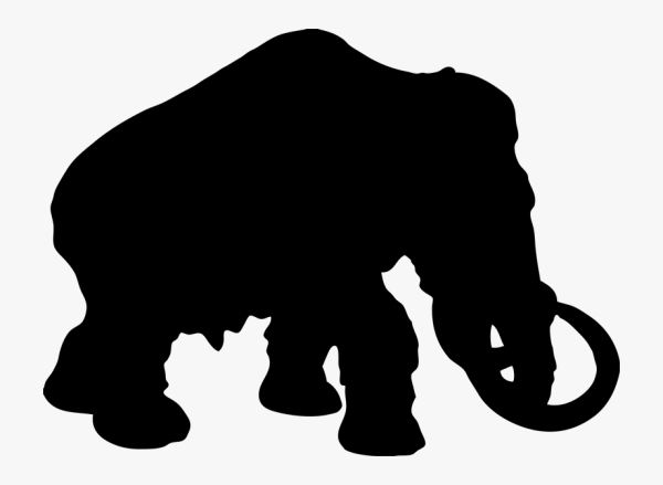 Трафарет слона для вырезания