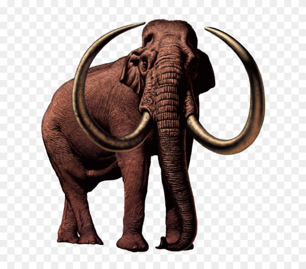 Мамонт мультяшный