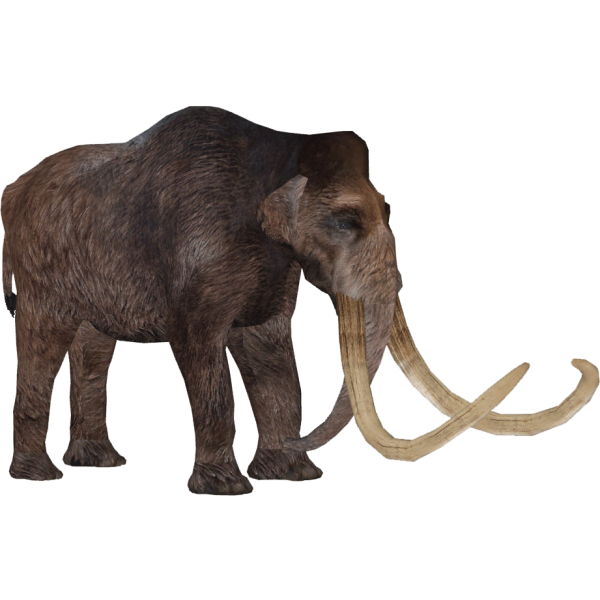 Аппликация мамонт