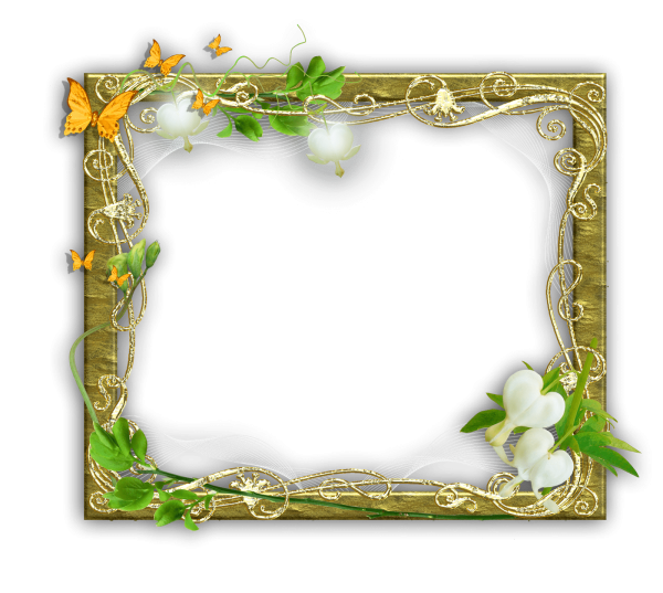 Рамка прозрачная