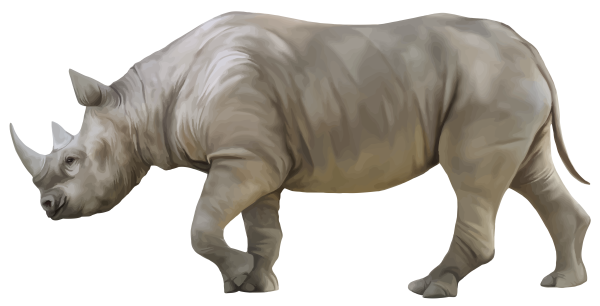 Носорог на белом фоне