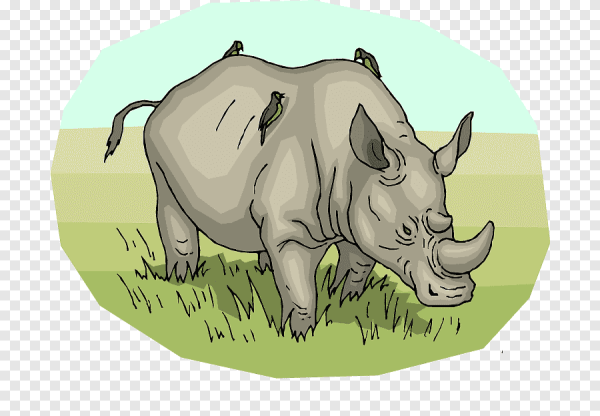 Носорог для детей