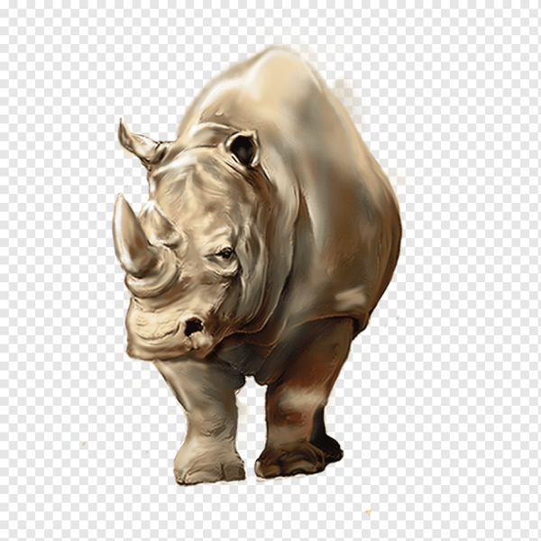 Носороги мультяшные