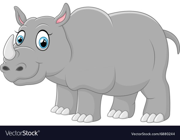 Носорог на белом фоне для детей