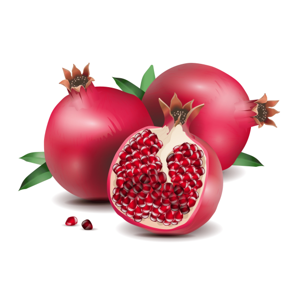 Гранат логотип