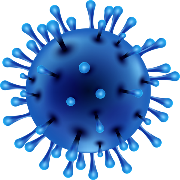 Вирус ковид19