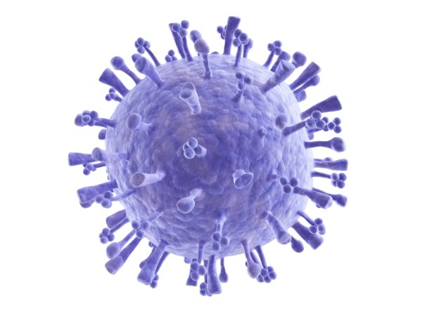 Influenza a virus h1n1