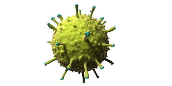 Вирус коронавирус