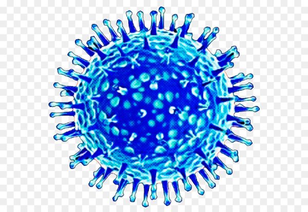 Вирус гриппа h5n1