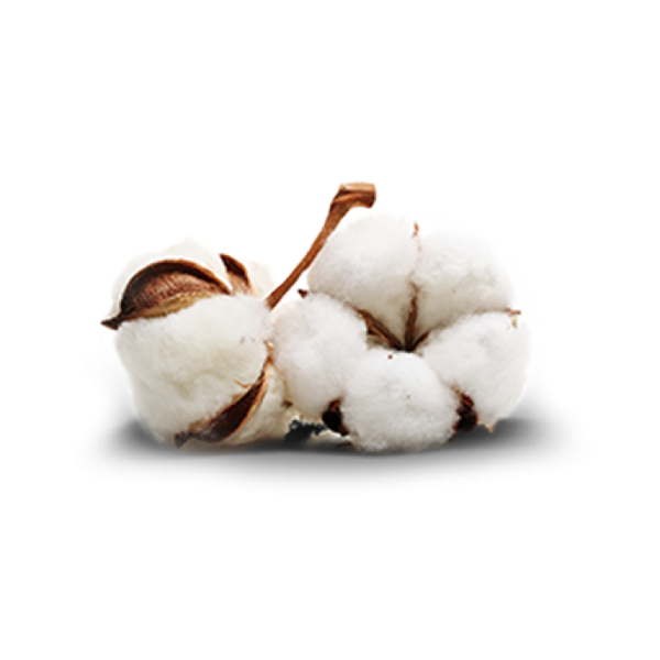 Хлопок на белом фоне