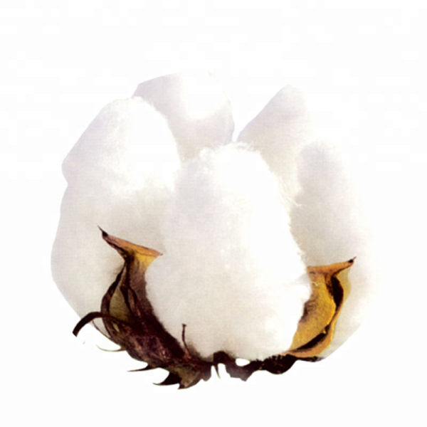Хлопок на прозрачном фоне