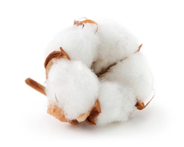 Хлопок на белом фоне