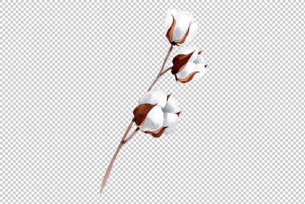 Хлопок без фона