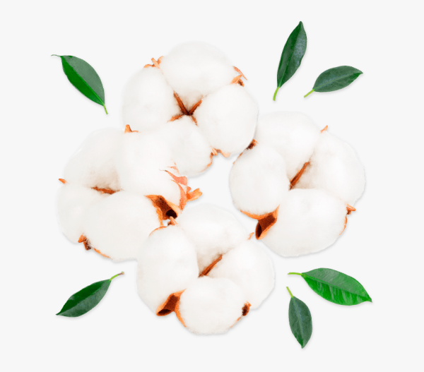 Веточка хлопка