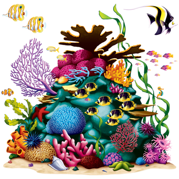 Цветные кораллы