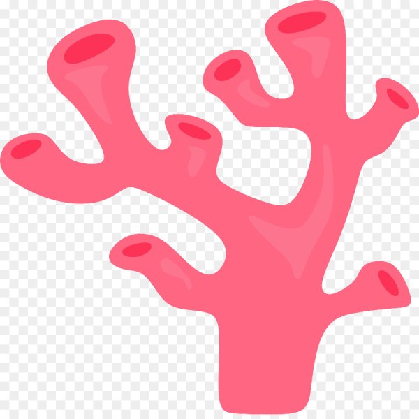 Кораллы для детей