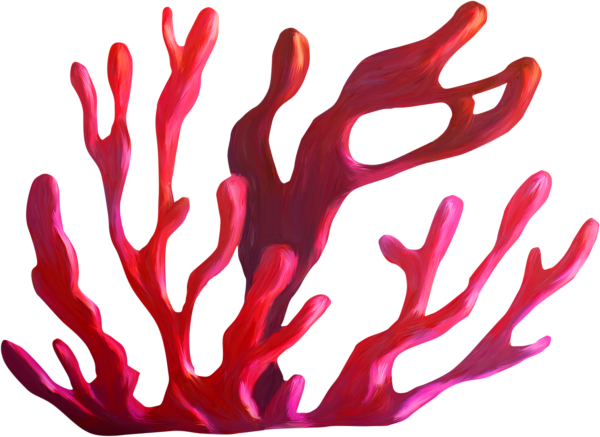 Кораллы для дошкольников