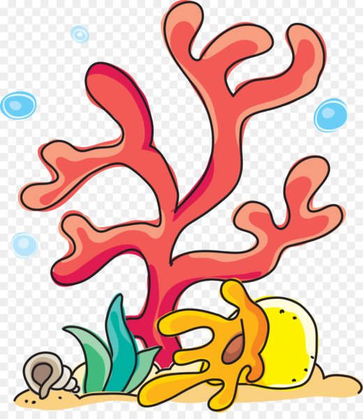 Кораллы для детей