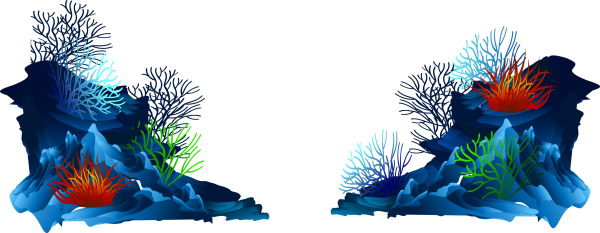 Морское дно на прозрачном фоне