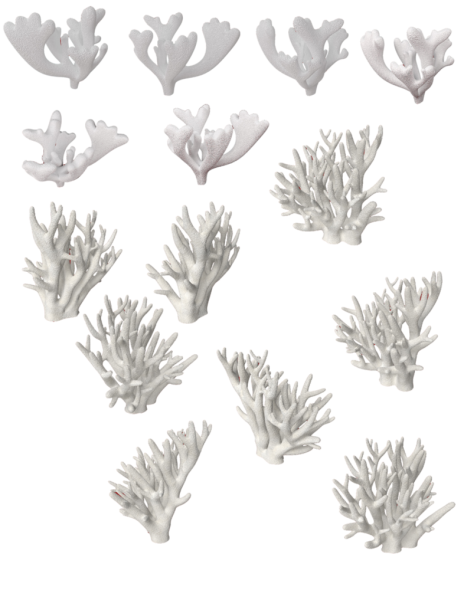 Листья для корала