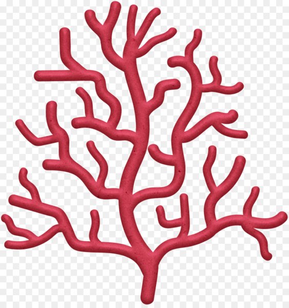 Нарисовать кораллы