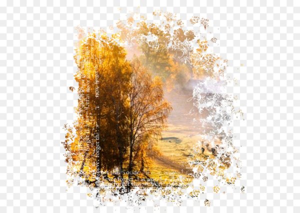 Природа осень на прозрачном фоне