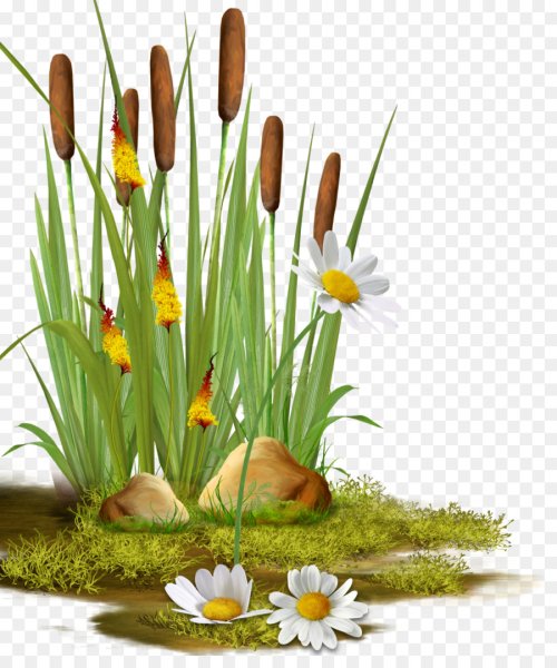 Камыши мультяшные