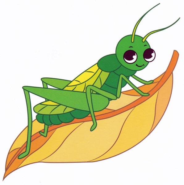 Богомол рисунок